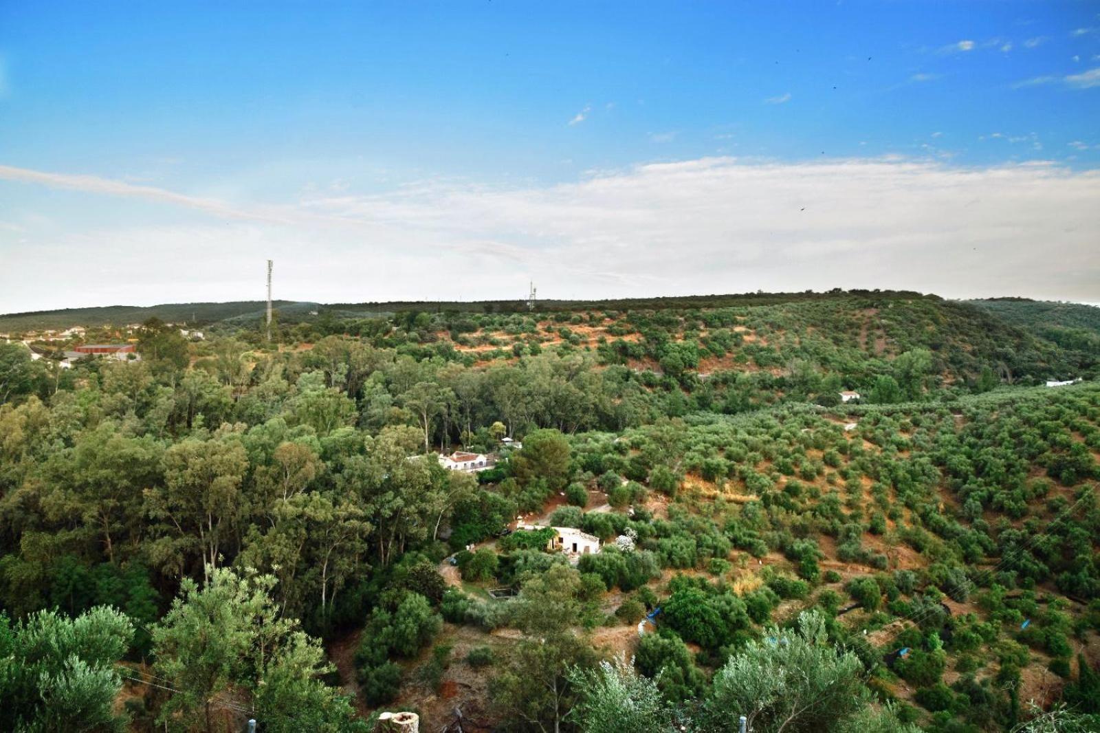 Casa Rural Mirasierra Hornachuelos Esterno foto